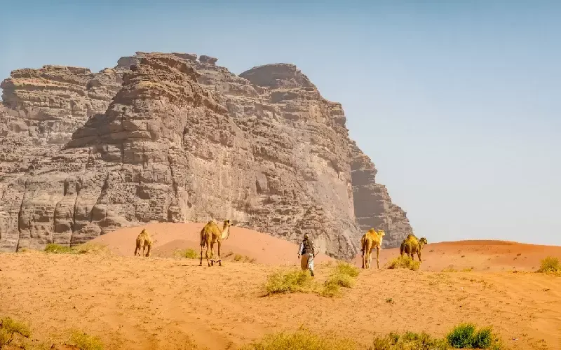 Viaggio Arabia Saudita in 10 Giorni
